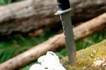 Survival Training